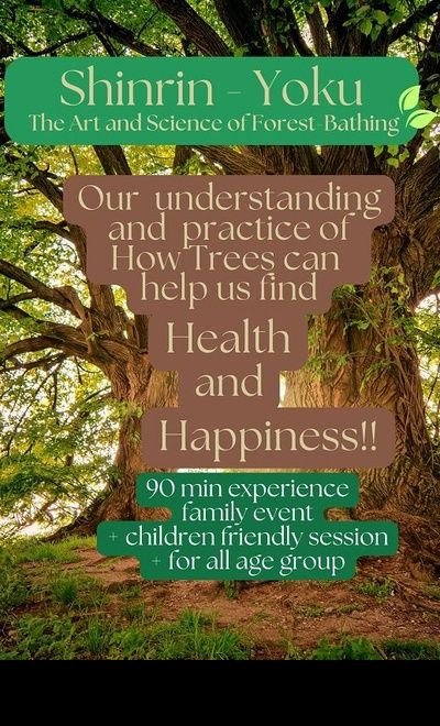 Shinrin - Yoku: The Art of Forest Bathing