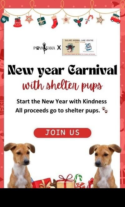 Carnival with Puppies by Pawasana